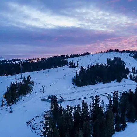 Mountain Forest Διαμέρισμα Białka Tatrzańska