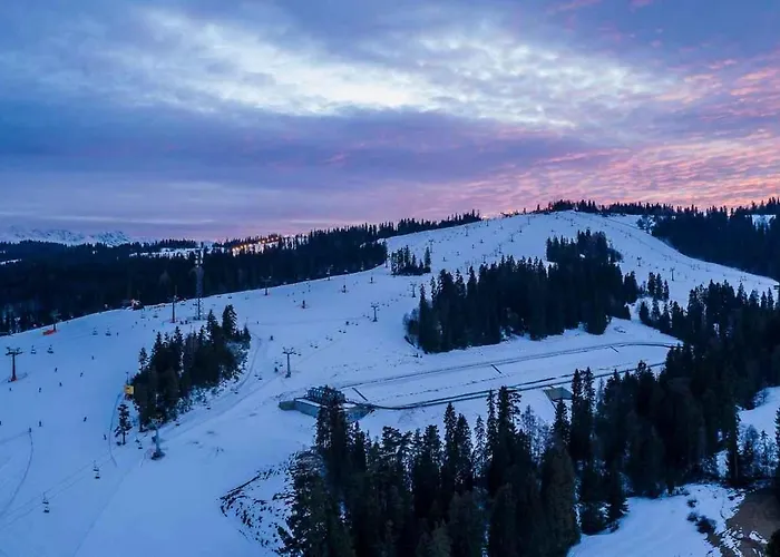 Mountain Forest Appartement Bialka Tatrzanska